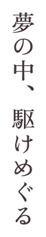 夢の中、駆けめぐる
