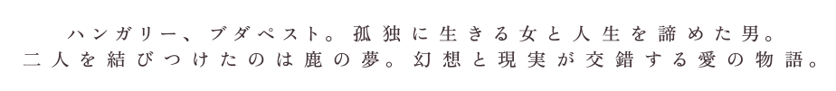 世界中で止まぬ称賛の声！2018年春、ついに日本公開。同じ夢を見た男女の、幻想的でリアルな愛と孤独の物語。